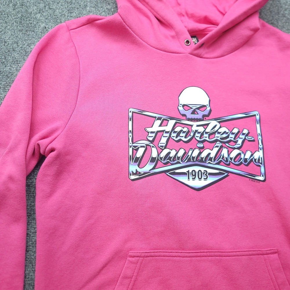 Harley-Davidson Pink Willie G Skull Graphic Hoodie 99213-25DW XL